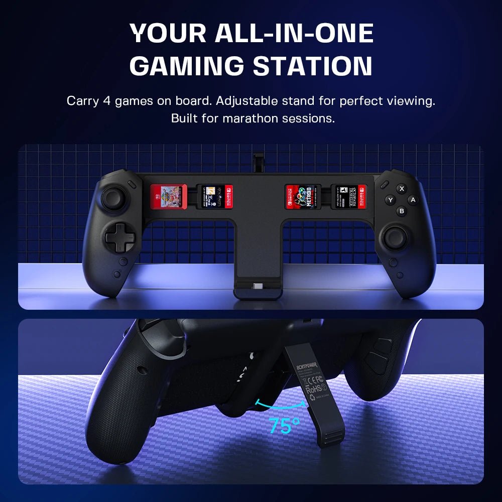 ECHTPower Switch 2 Wired Controller - Rayzo Store
