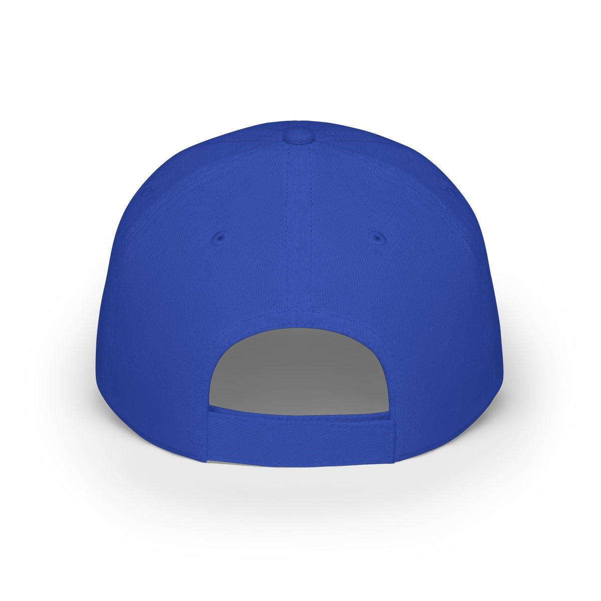 Rayzo Logo Baseball Cap — Low Profile Red Dad Hat - Rayzo Store